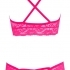 Cottelli - wild lace bra set (pink)