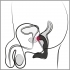 Rebel - akumulátorový vibrátor na prostatu (čierny)